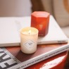 Candela Scoperta My Jolie Candle - Ambra Dorata 75gr